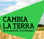 Notizia 1