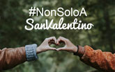 Notizia 4