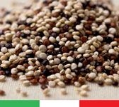 Notizia 1